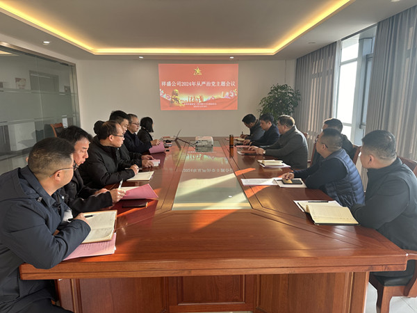 祥盛公司黨支部開展2024年下半年從嚴(yán)治黨專題會議_副本.jpg